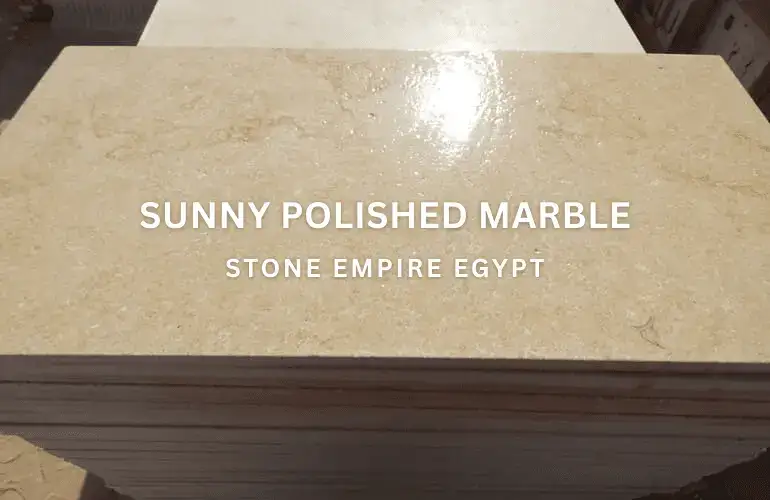 Sunny Menia Marble