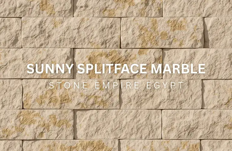 Sunny Menia Marble