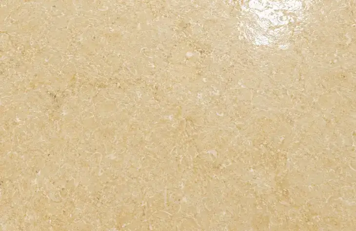 Sunny Menia Marble